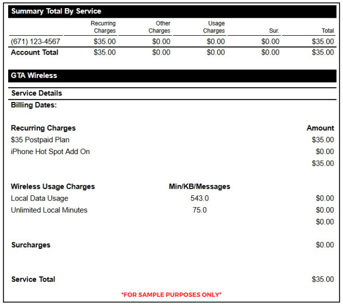 Sample Bill - Summary Total By Service - Disclaimer